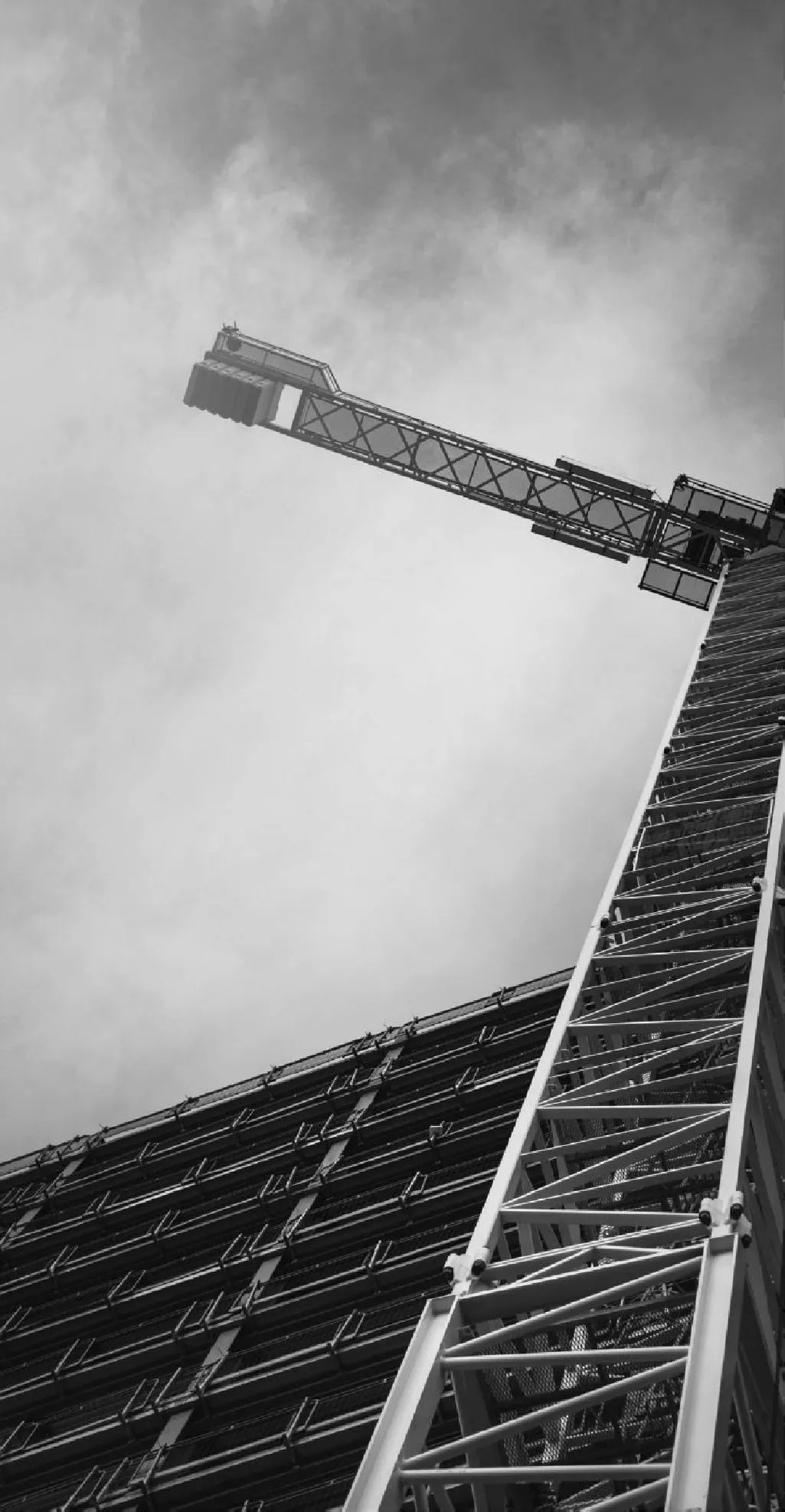 Une grue à tour se détache sur un ciel chargé, au-dessus d'une façade en cours de montage